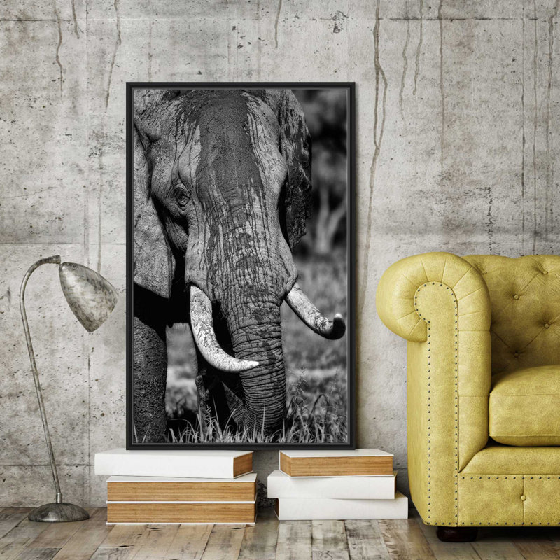 «Golden Eyes», reproduction de photo, H 43,5 po x l 27,5 po x P 2 po, Cadre flottant espresso