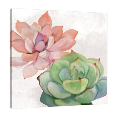 " Succulent Summer 1 " by Kimberly Allen