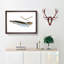 Cod Fish on the Line by Edward Donovan - Picture Frame Painting-57864686-57864682