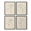«Floral Contour Study I», ensemble de 4 encadrées-1085817107-1085817106