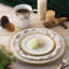 Assiettes décoratives 9 "Noritake Charlotta Gold
