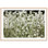 Wild Flowers Print by Carly Tabak