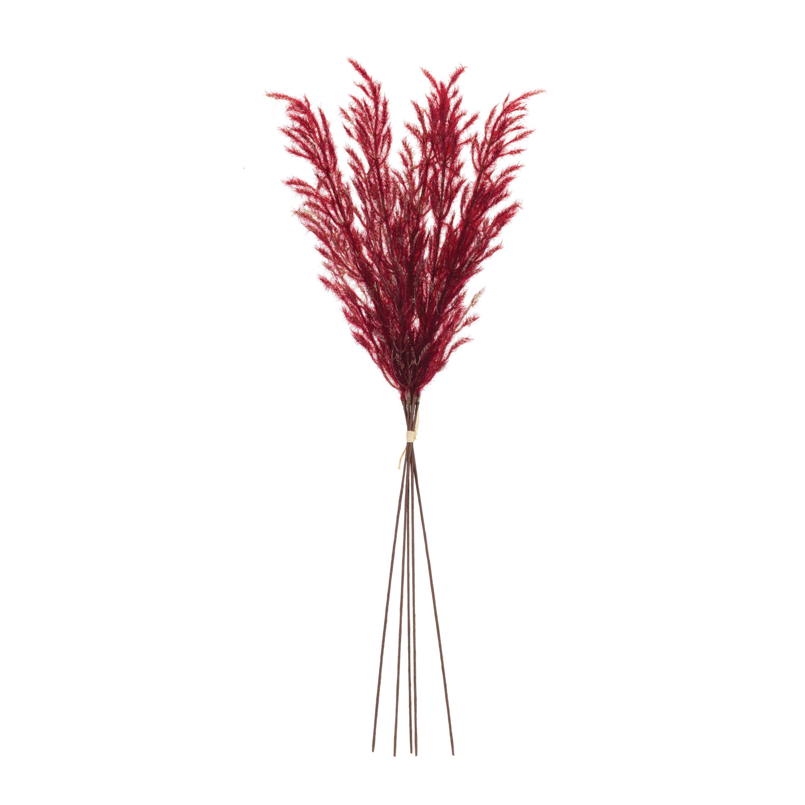 Plume Arrangement