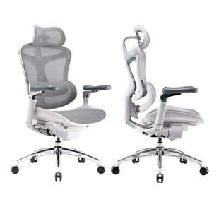 Doro C300P Ergonomic Office Chair, Big and Tall Desk Chair, Computer Chair with 6D Armrests