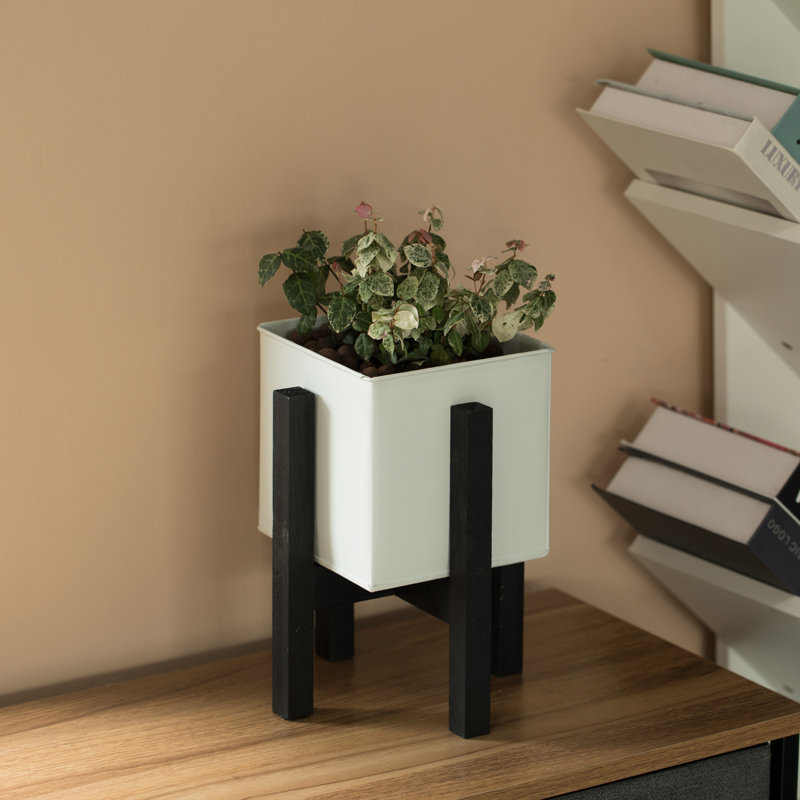 Pot à fleurs en bois Eular, H 10,25 po x l 6 po x P 6 po