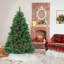 Cache-pied d'arbre-62660163