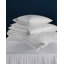 Buxton Goose Down Comforter-31316119-31316117