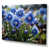 Wrapped Canvas