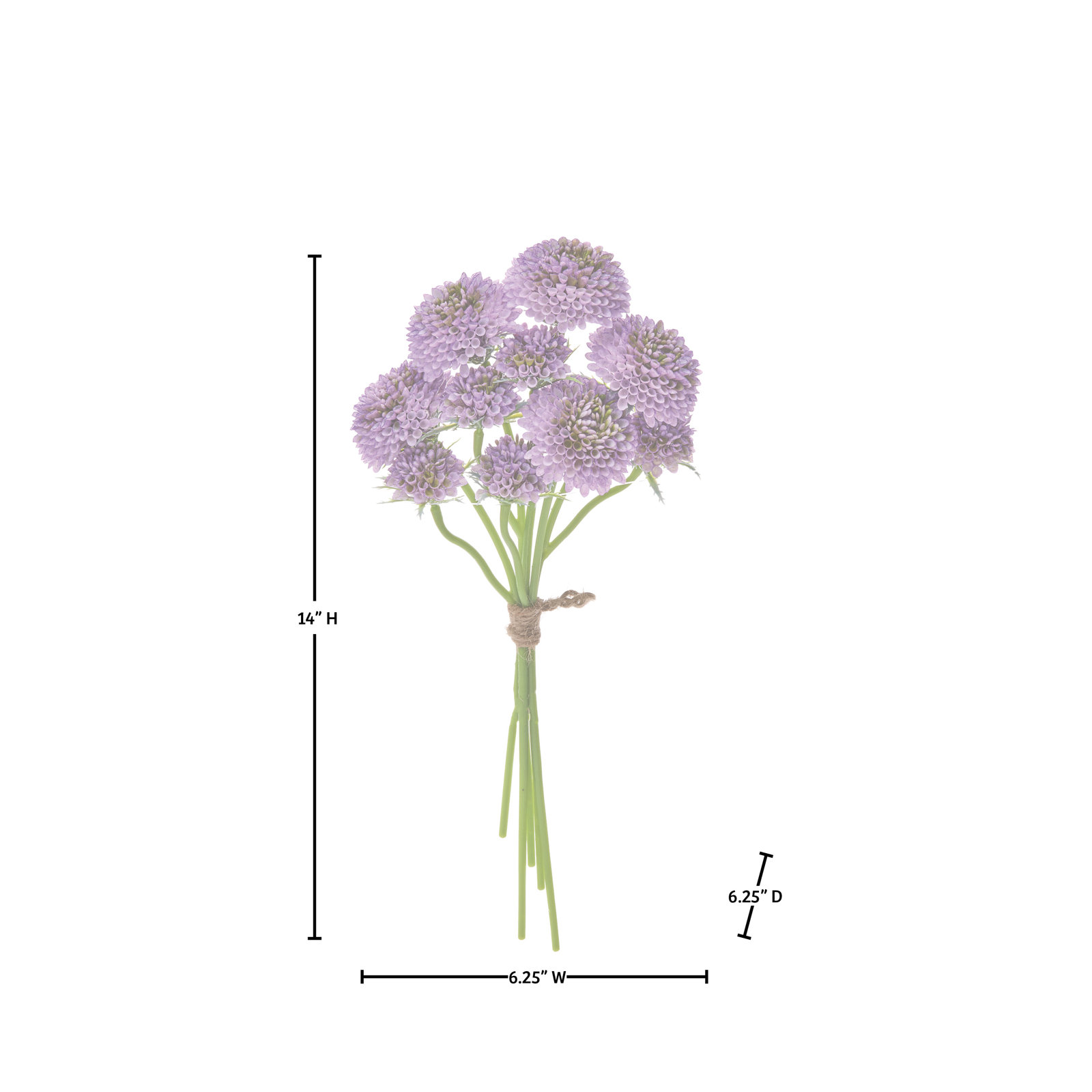 Scabiosa Floral Stems, Purple