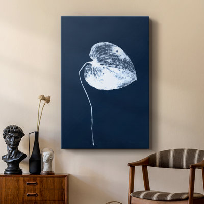 Cyanorphe II - galerie Cavas sur mesure