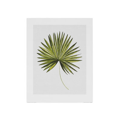 Tropical Leaf III 1 Piece Painting