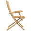 Amilyah Patio Dining Accent Chair