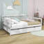 Lit de jour en bois avec couchette-1756157735-1756157729