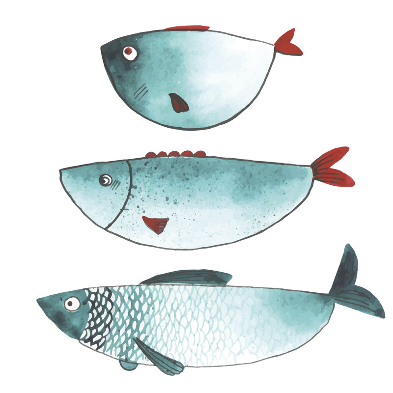 Watercolor Fishes by Olga_Bonitas - Wrapped Canvas Print, 51cm H x 51cm W