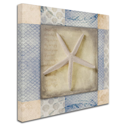 " White Sea Starfish " by LightBoxJournal