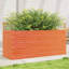 3 Wood Planter-100492006-100492019