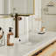 Spot-Free single-handle Bathroom Vessel Sink Faucet with Pop-Up Drain, in Brown Bronze