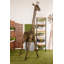 Statue Leddy