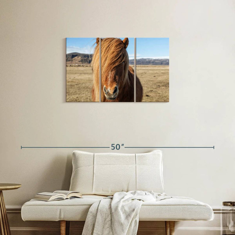 Brampt, chevaux islandais dans la campagne VII, H 20 po x l 33 po