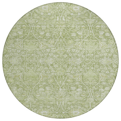 Machine Washable Indoor/Outdoor Chantille ACN1133 Aloe Rug
