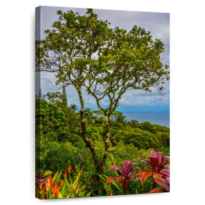 Harnek, Hawaï, arbres tropicaux