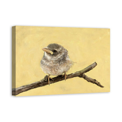" Little Bird "