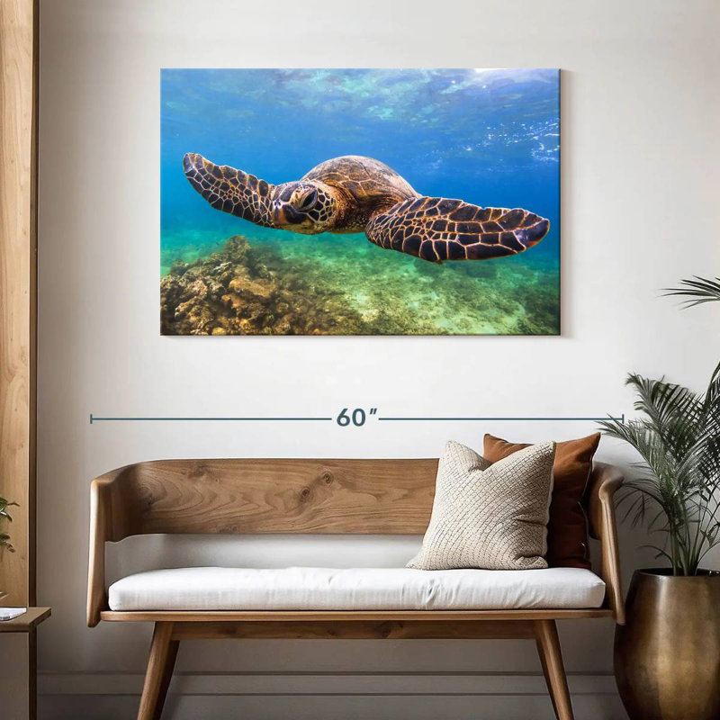 Crowle Flapping Turtle, 30" H x 45" W