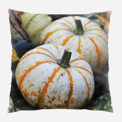  Coussin intérieur / extérieur Thanksgiving