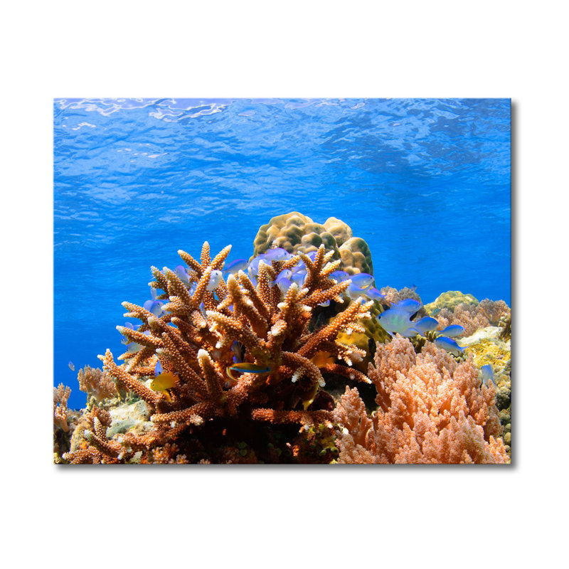Stretched On Wooden Frame Print on Canvas, 80 cm H x 100 cm B x 2 cm T