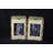 Spahr Forest Touch Sensor 8.5" Novelty Light