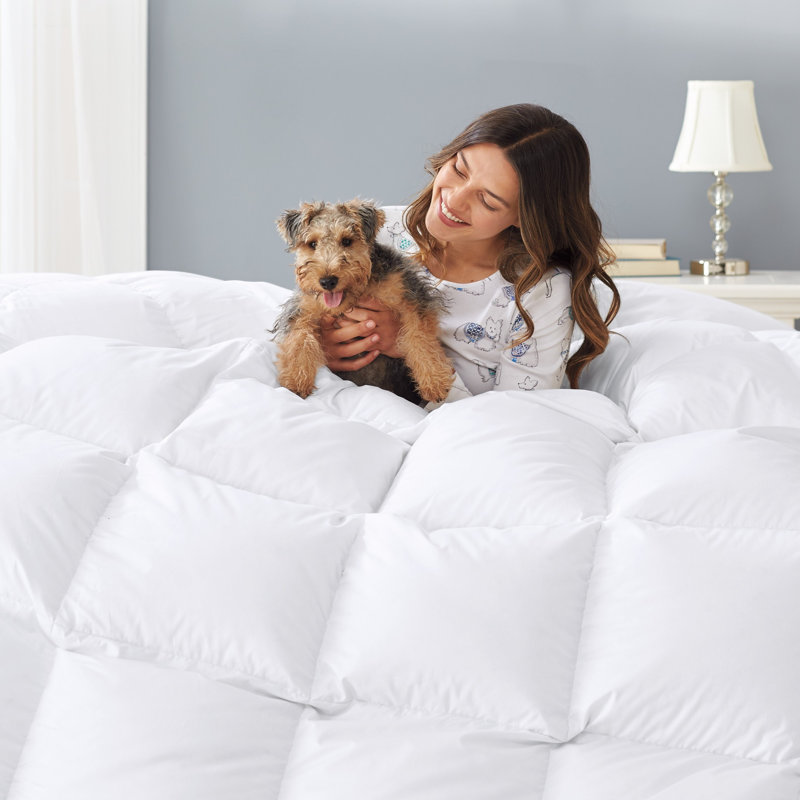 Cuddledown Percale Down Alternative Comforter, King Comforter, All Season