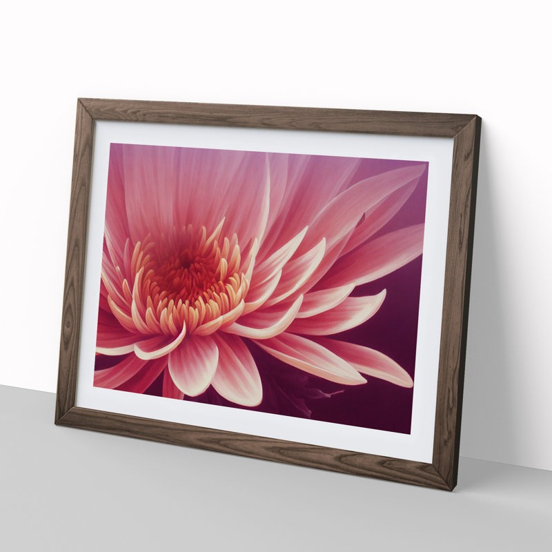 Artsy Chrysanthemum Flower - Single Picture Frame Print, Brown, 46cm H x 64cm W