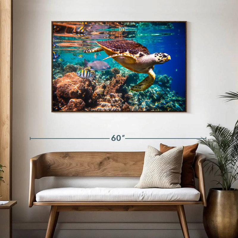 Vivid Sea Life, 46" X 31", Floating Frame Walnut