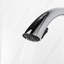 Belfry Kitchen Galilee Pull Out Kitchen Faucet