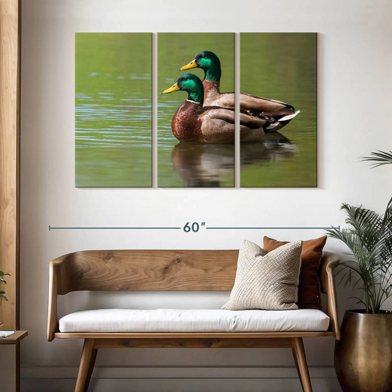 Coupe de canards colvert, H 32 po x l 50 po
