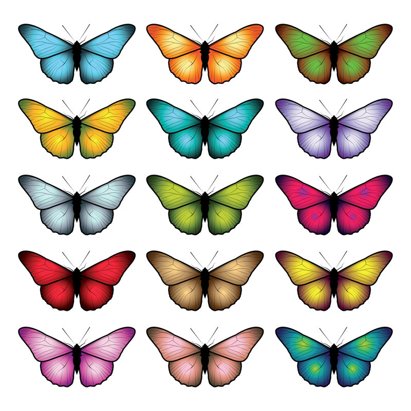 Set Of Butterflies by Serjio74 - Wrapped Canvas Print, 30cm H x 30cm W x 3.8cm D