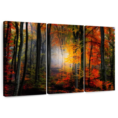 Forêt brumeuse d'Alvord en automne