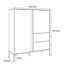 Amei 2 Drawer 103.3cm W Combo Dresser