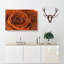 Orange Rose - Wrapped Canvas-56638391