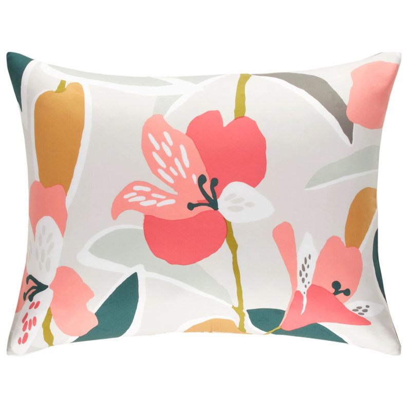 Lilium Multi Sham, Standard