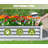 8X4X1 Ft Galvanized Raised Garden Bed-626940329-626940328