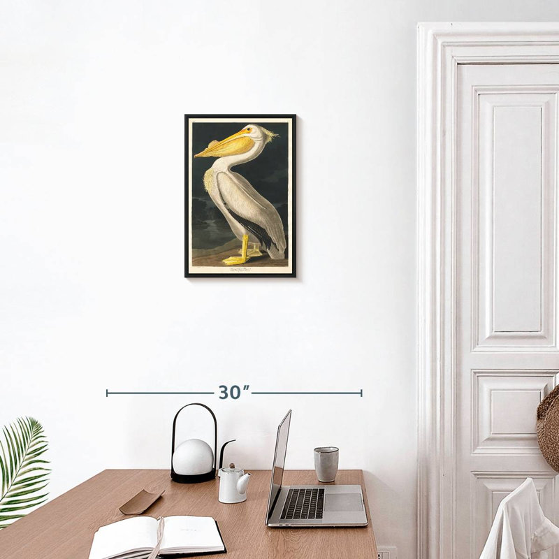 Pélican d'Amérique des oiseaux d'Amérique, 13 po x 19 po, Cadre flottant noir