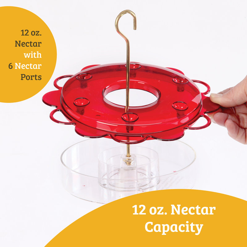 Clear and Red Hanging Polycarbonate Hummingbird Feeder with Brass Rod
