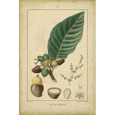 Vintage Turpin Botanical IV