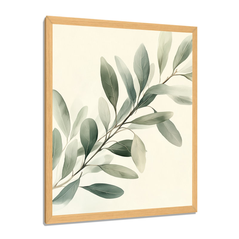 Branche d'olivier en eucalyptus vert tendre I - Tableau encadré, H 32 po x l 24 po, Natural Picture Framed