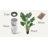 Artificial Tree In Planter, Fake Bird of Paradise Silk Tree Home Decoration (Plant Pot Plus Tree)-338543038-353484230