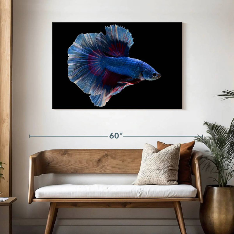 Elegant Blue Betta, 30" H x 45" W