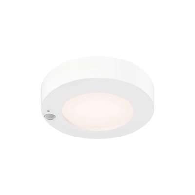 Joylyn Acrylic LED Flush Mount