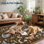 Area Rug-1385954047-1385954033