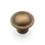 CK Series Mushroom Knob-12829776-12829777